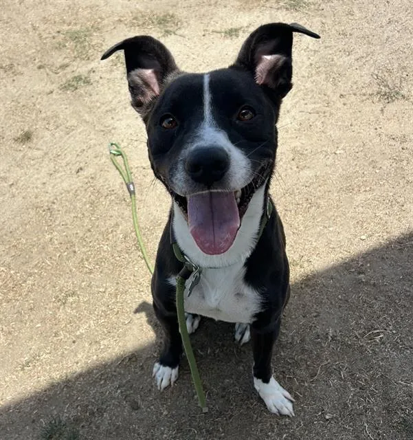 Max