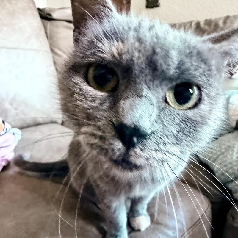 Miss Jackie thumbnail 3