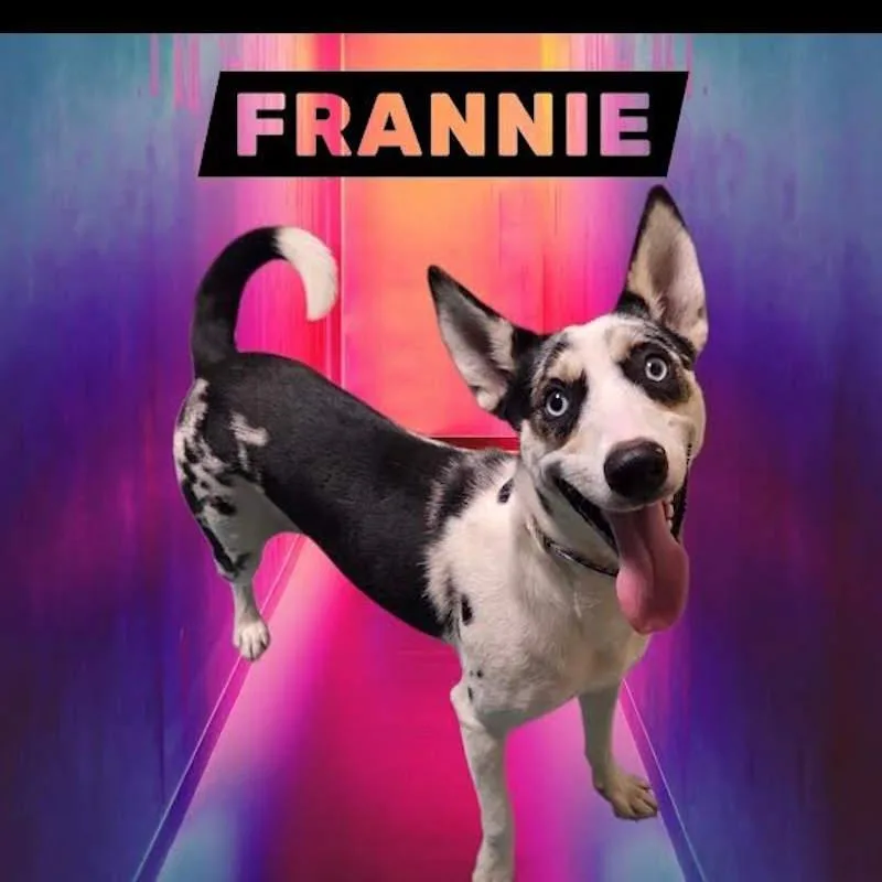 Frannie