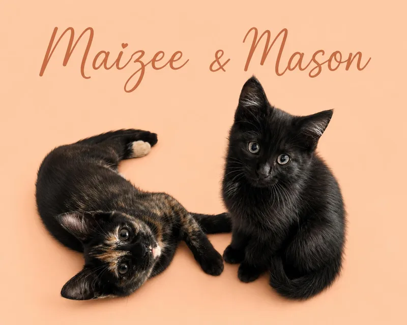 Maizee Wmason:kc thumbnail 3