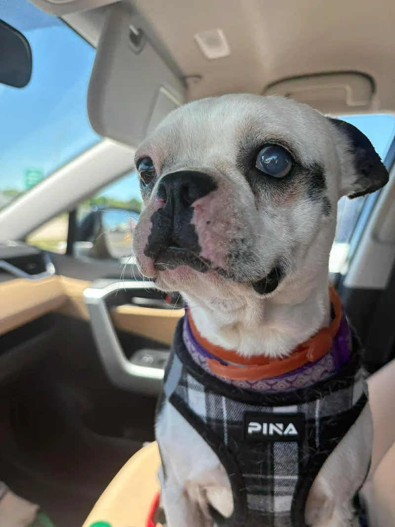 Gina