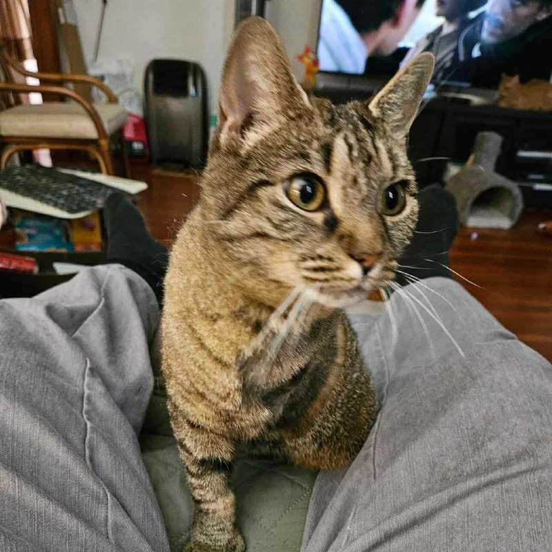 Molly Kirchoff thumbnail 2