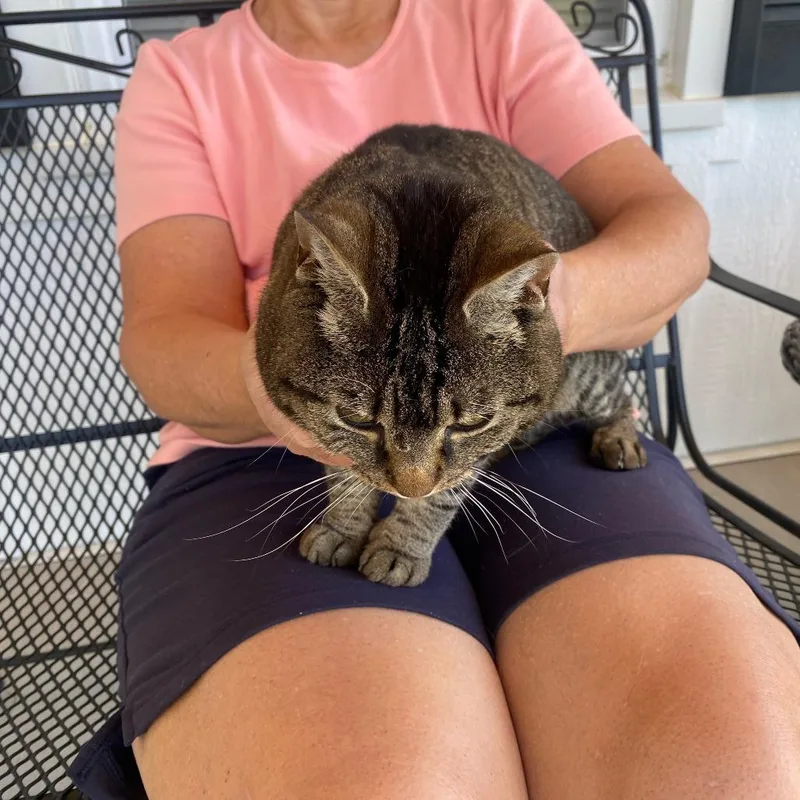 Molly Kirchoff thumbnail 3