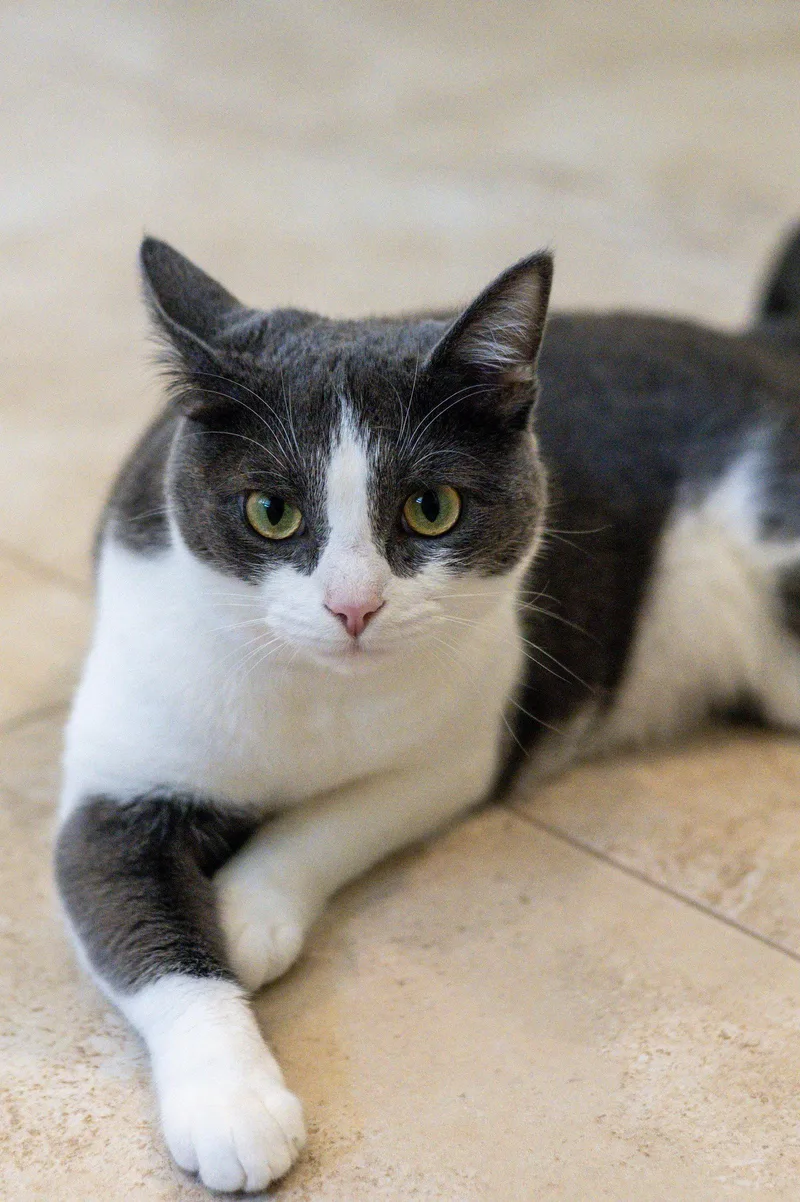 Izzy thumbnail 2