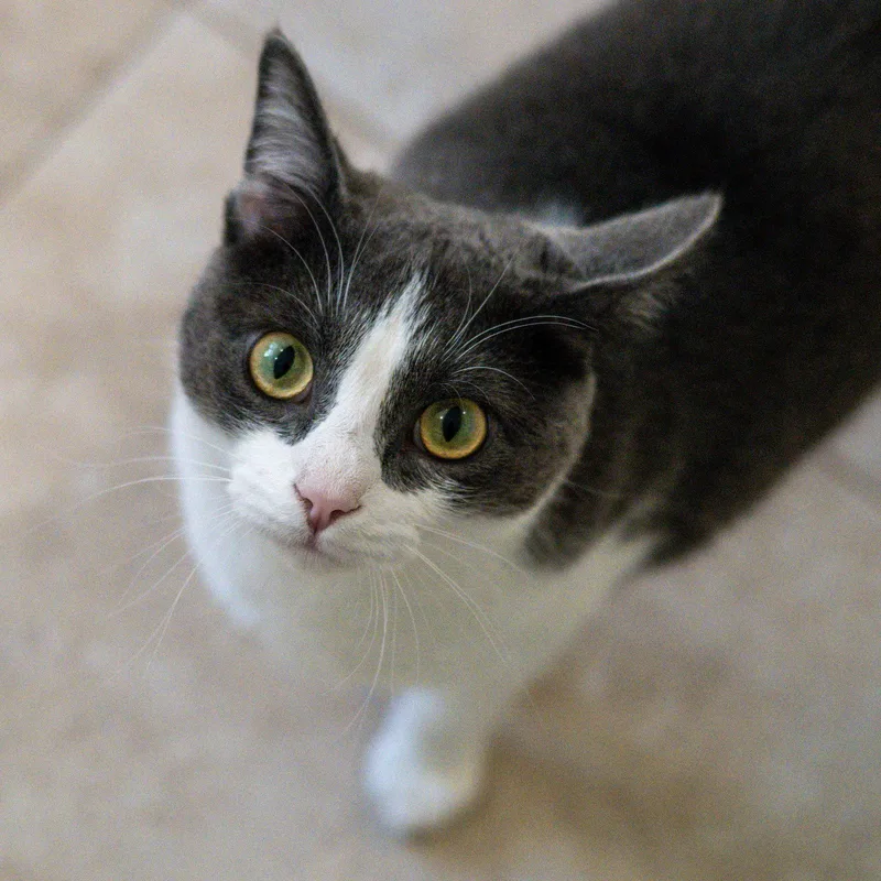 Izzy thumbnail 3