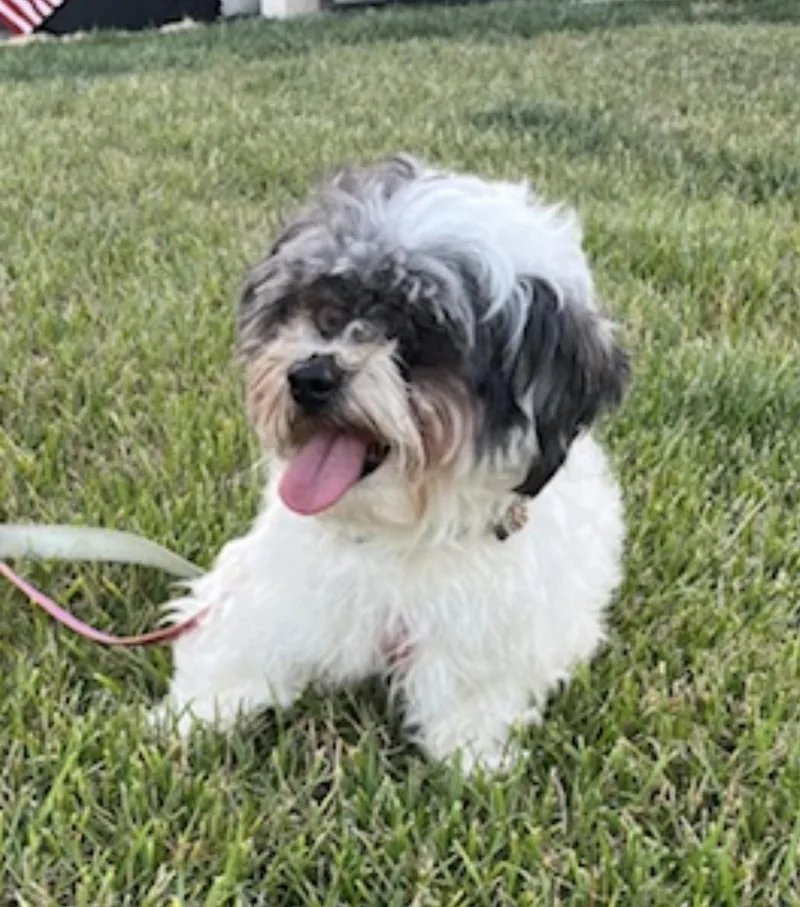 Tessie thumbnail 2