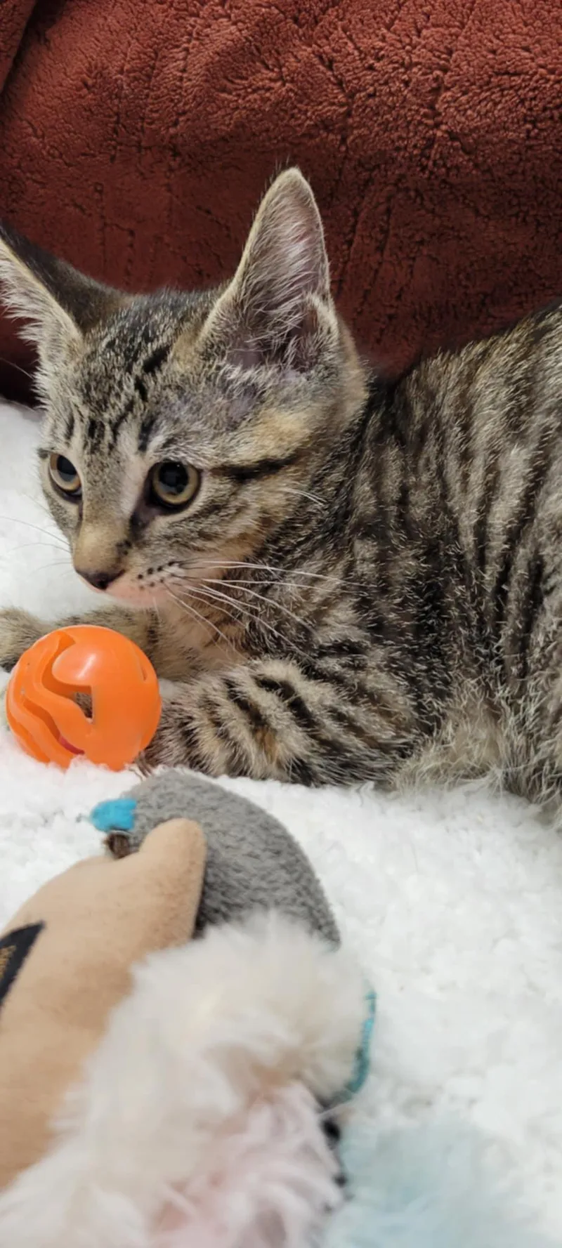 Bobbie Jo thumbnail 2