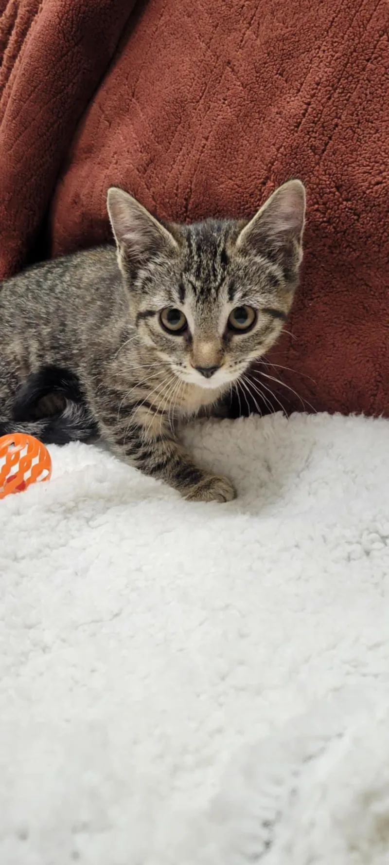 Bobbie Jo thumbnail 3