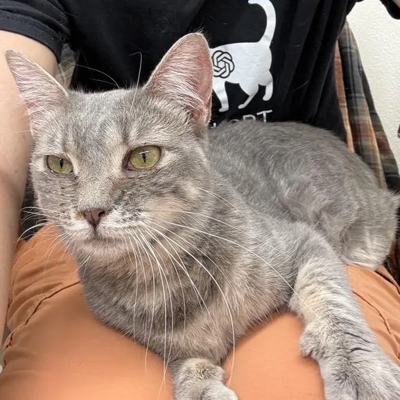 Rosie thumbnail 2