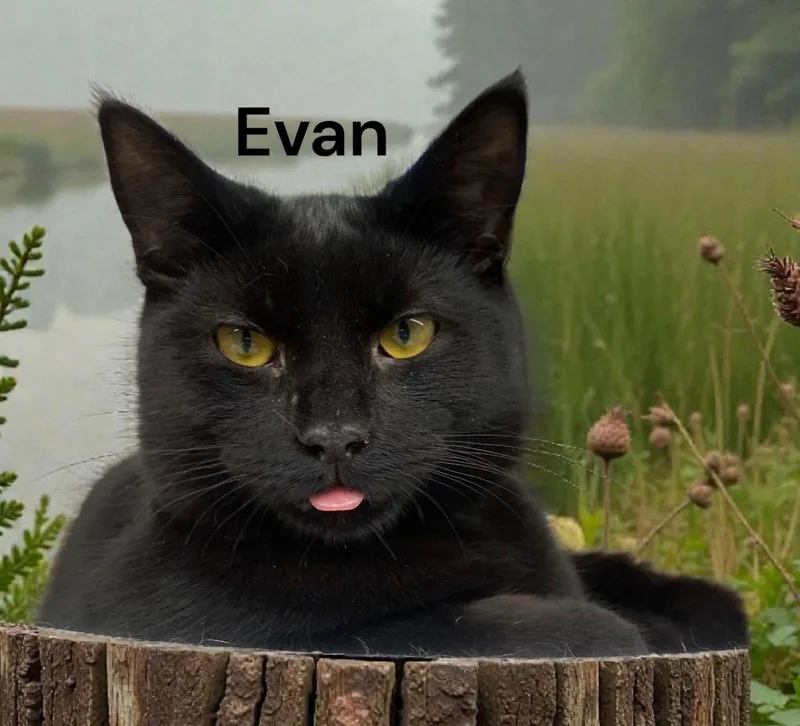 Evan