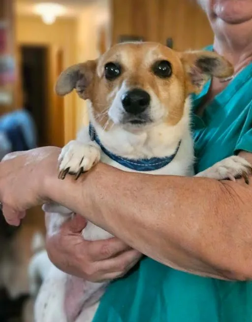 Rumi In La thumbnail 2