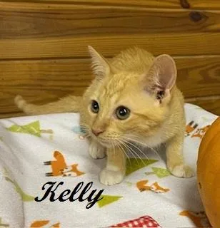 Kelly Garrett