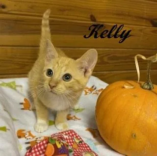 Kelly Garrett thumbnail 2