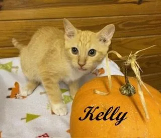 Kelly Garrett thumbnail 4
