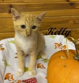 Kelly Garrett thumbnail 5