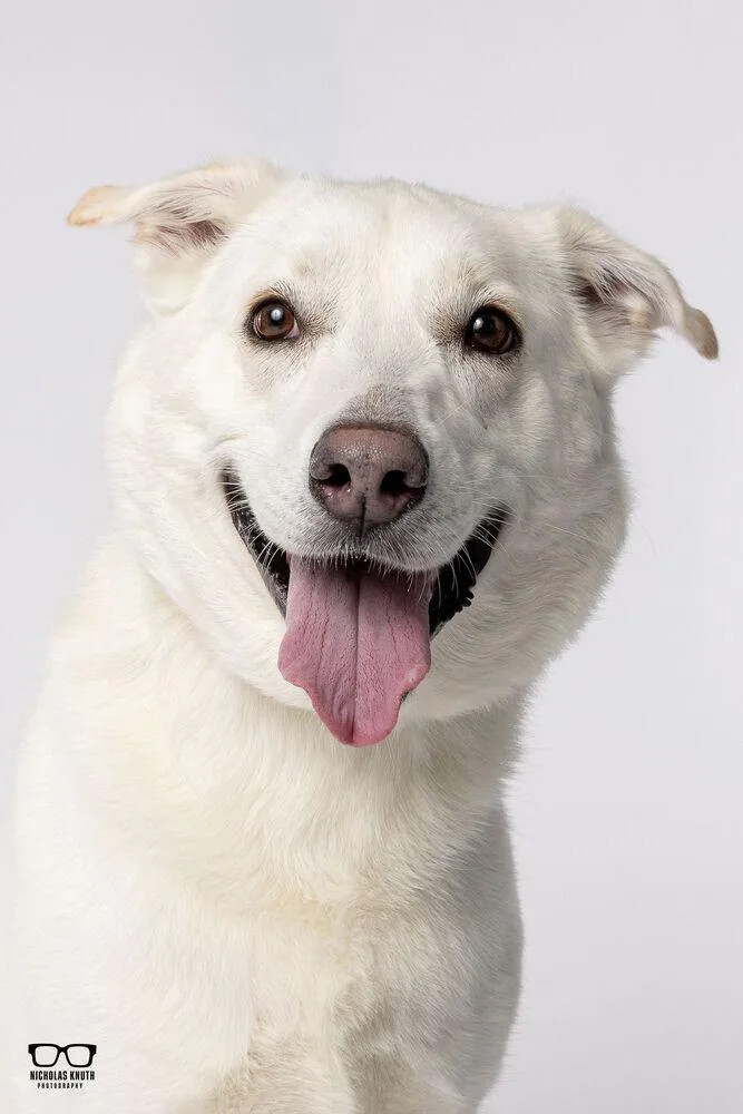 Havannah thumbnail 2