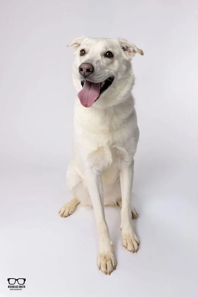 Havannah thumbnail 3