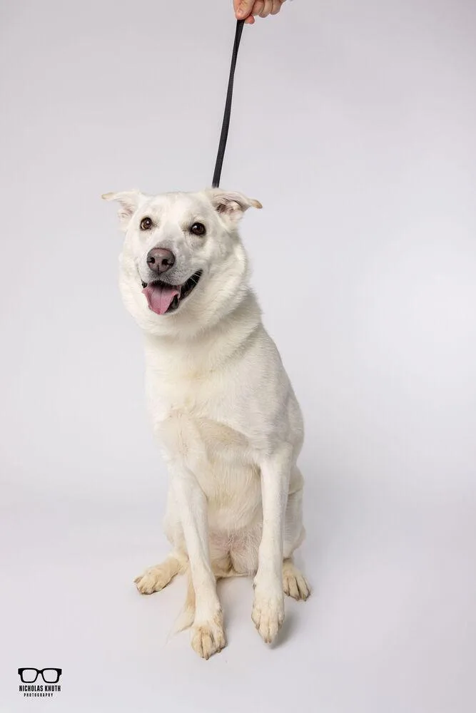 Havannah thumbnail 4