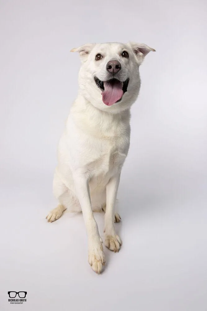 Havannah thumbnail 5