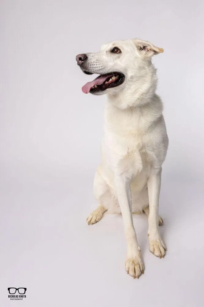 Havannah thumbnail 6