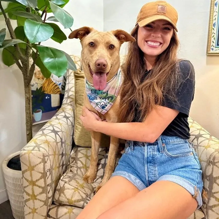 A young medium-sized female Yellow / Tan / Blond / Fawn Labrador Retriever dog named Sadey Is Pure Sweetness for adoption in Friendswood, TX