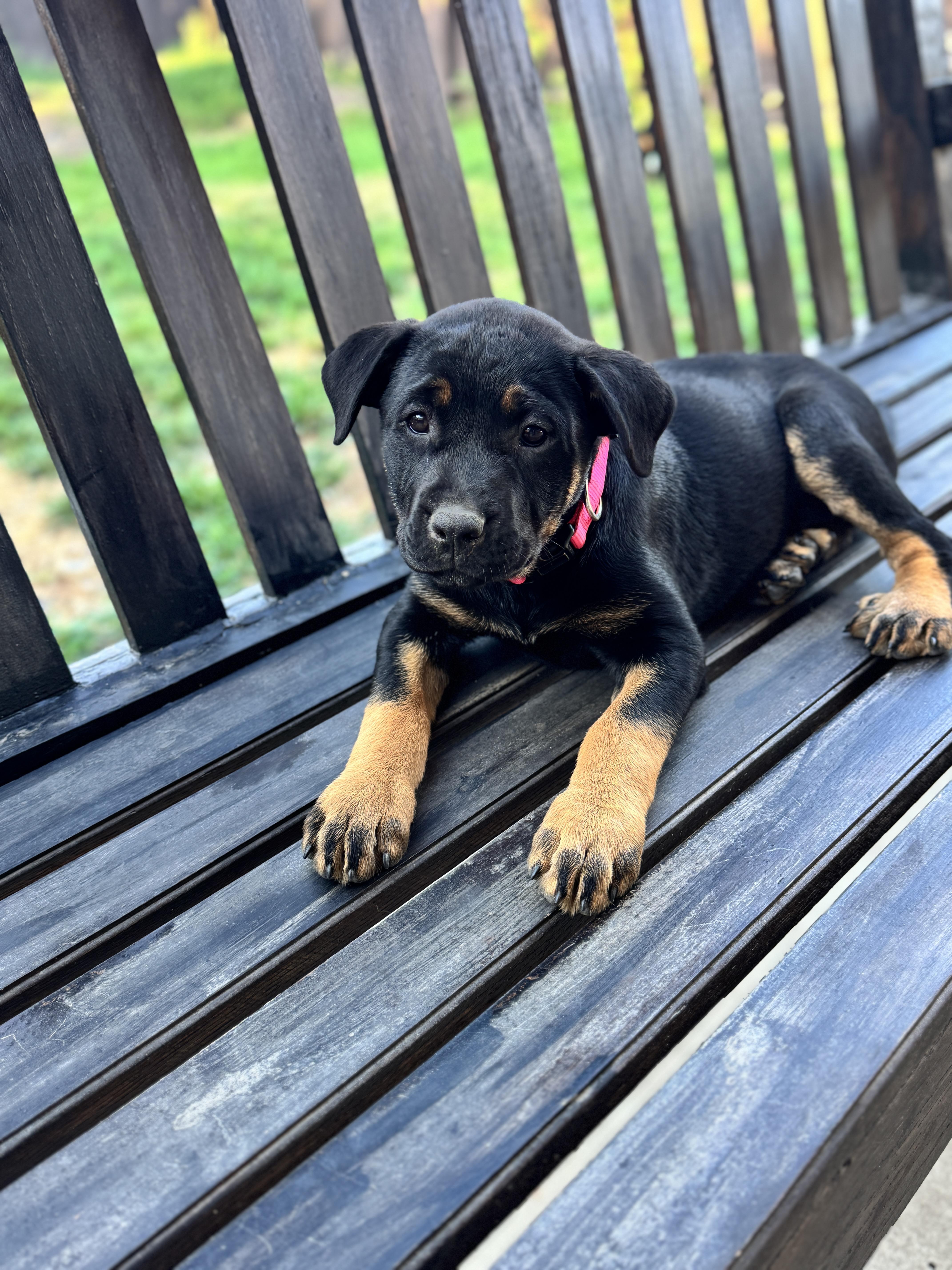 Mia