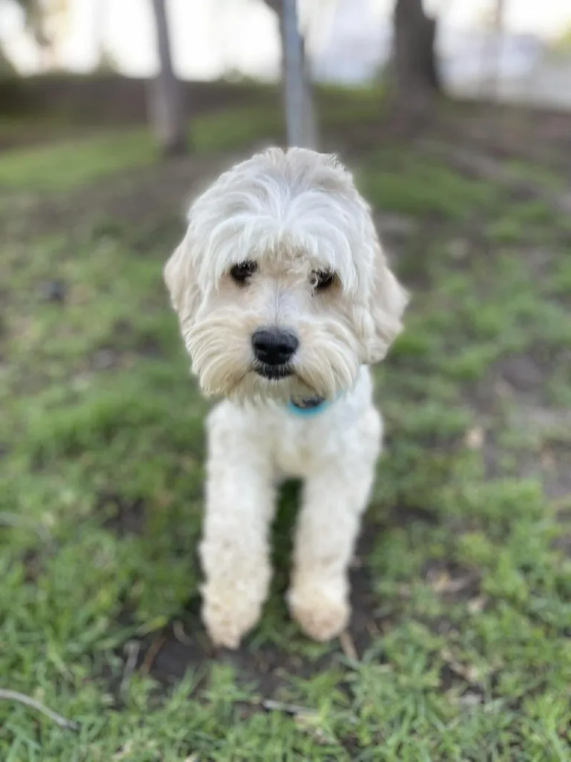 Mary Ann  Yr thumbnail 2