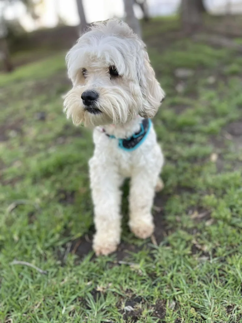 Mary Ann  Yr thumbnail 3