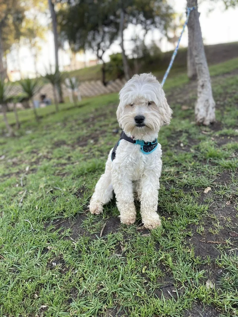 Mary Ann  Yr thumbnail 4