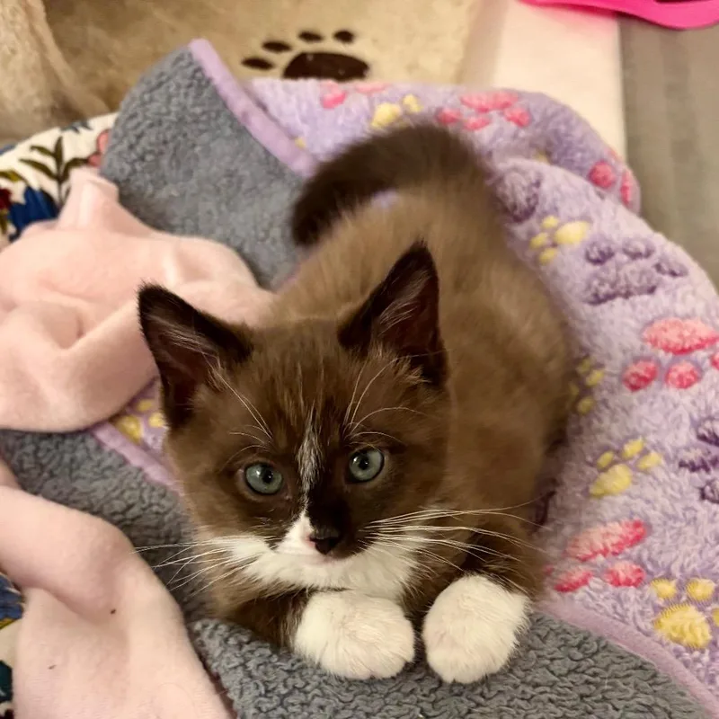 Moxie Lagiglia thumbnail 2