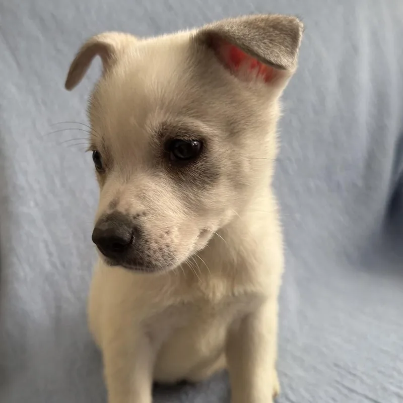 Ny Perry Mar thumbnail 2