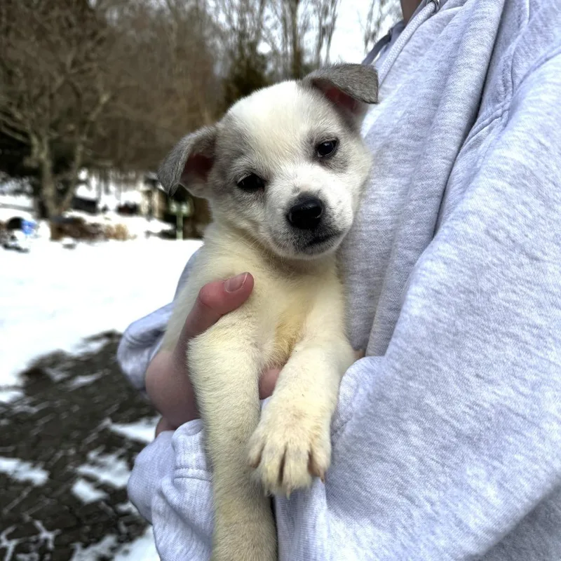 Ny Perry Mar thumbnail 3