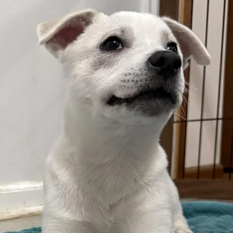 Ny Perry Mar thumbnail 4