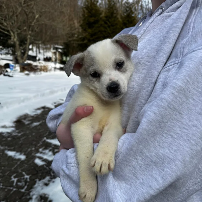 Ny Perry Mar thumbnail 5