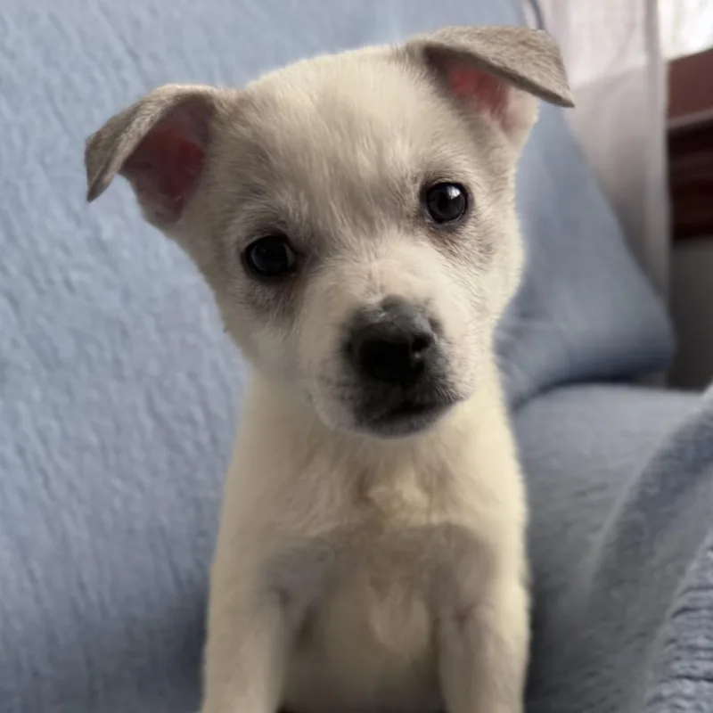 Ny Perry Mar thumbnail 6