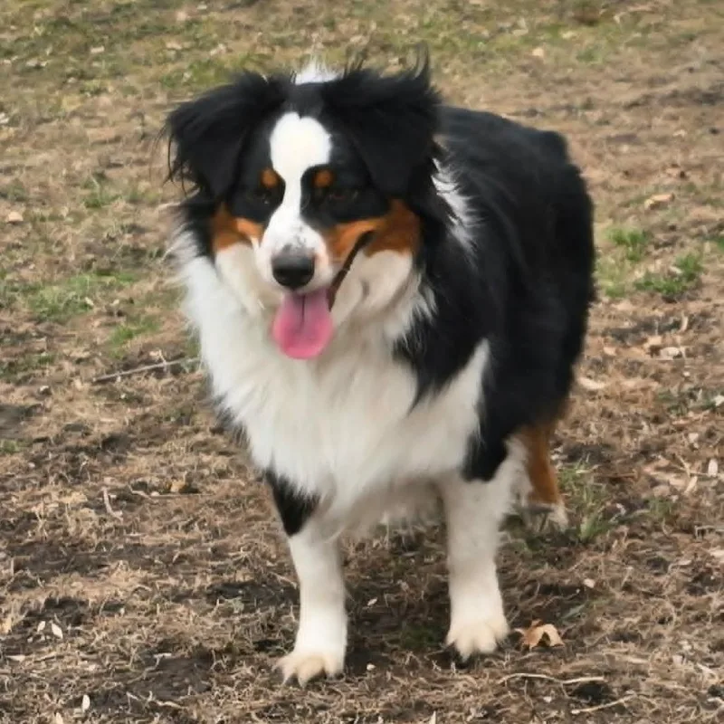 Copper