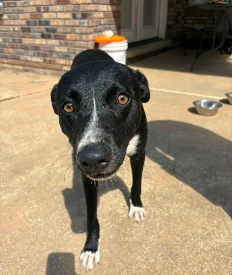 Maggie girl thumbnail 3