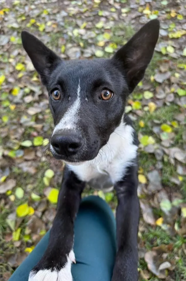 Maggie girl thumbnail 5