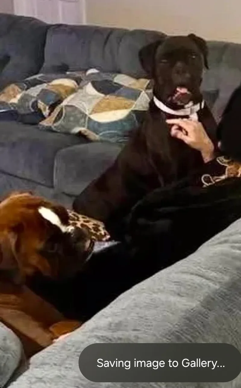 Meeka thumbnail 3