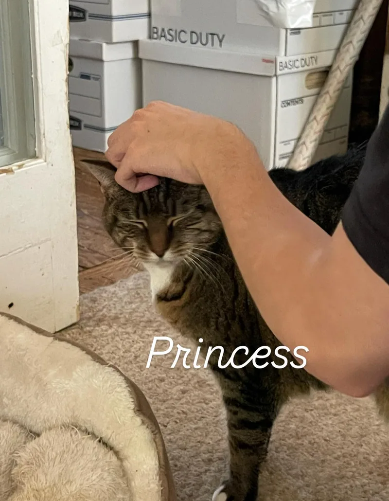 Princess thumbnail 2