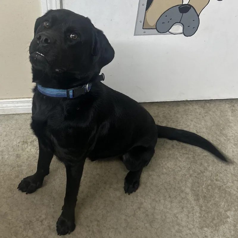 Cash