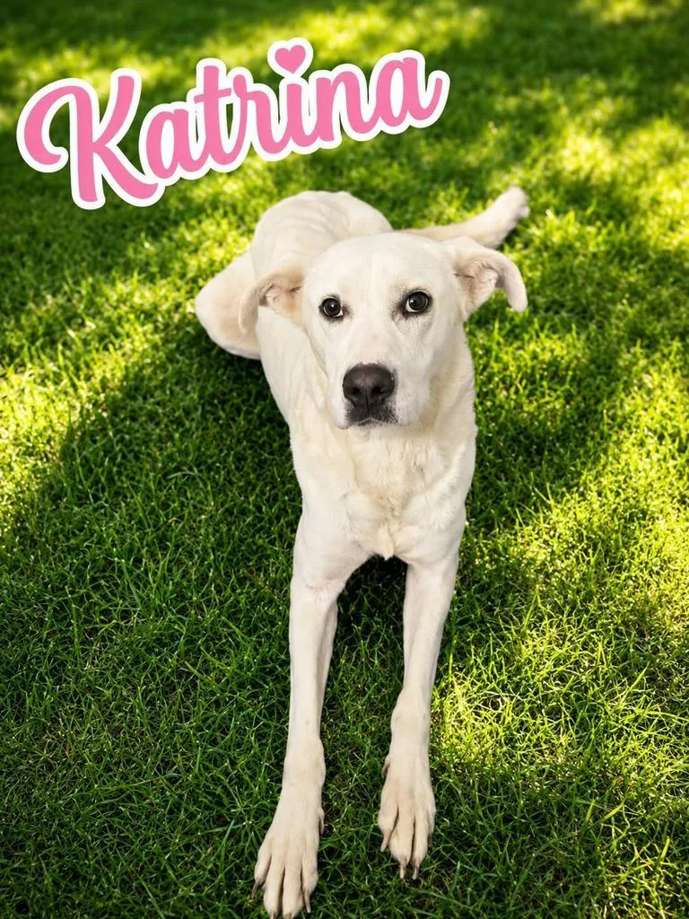 Katrina thumbnail 4
