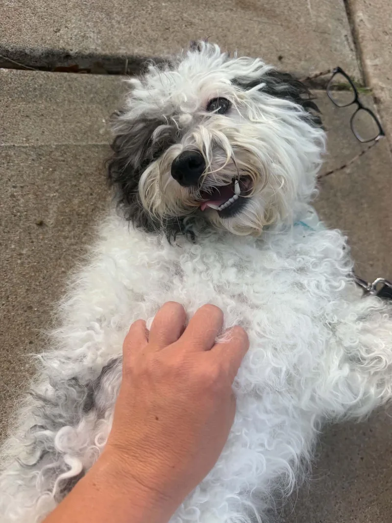 Charley