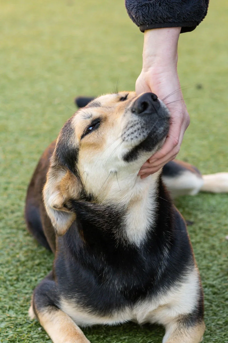 Elizabeth thumbnail 2