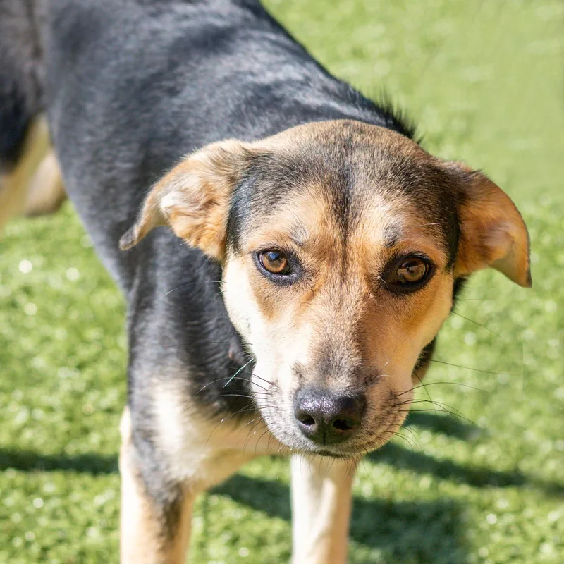 Elizabeth thumbnail 3