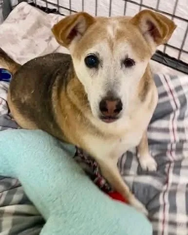 Morgan Bonded With Nala thumbnail 3