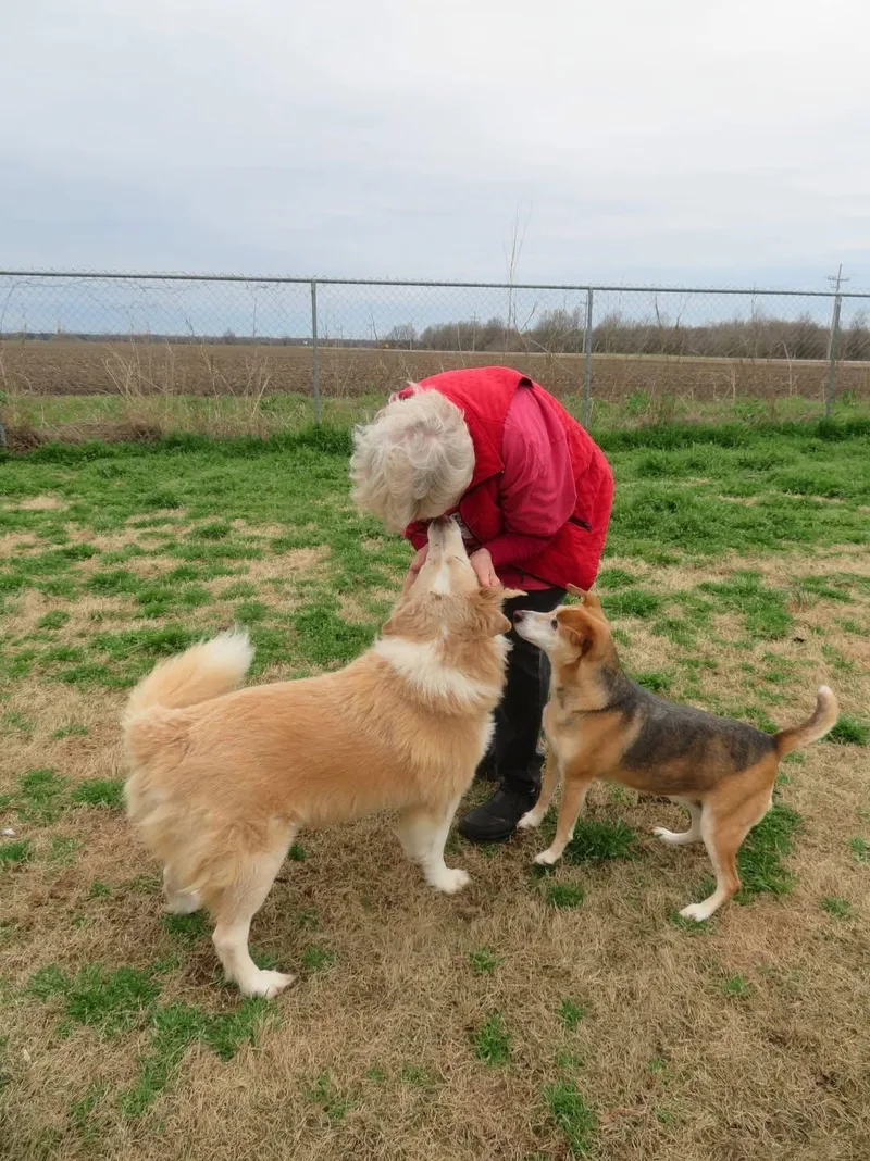 Morgan Bonded With Nala thumbnail 4