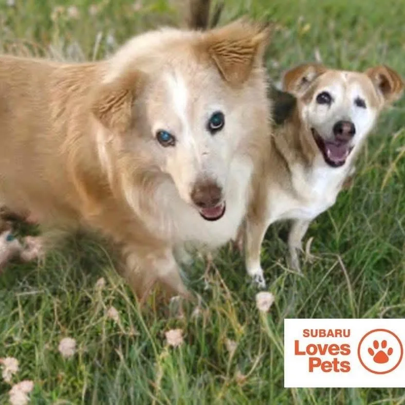 Morgan Bonded With Nala thumbnail 5