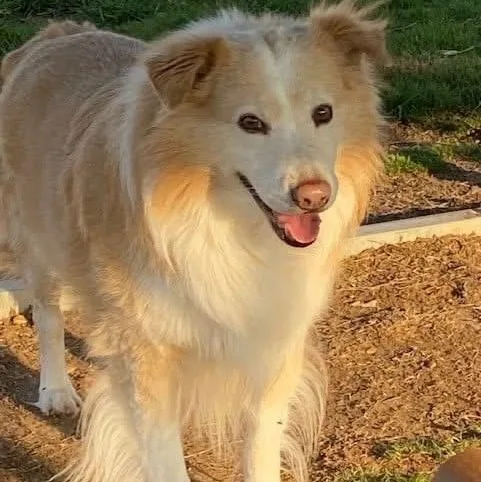 Morgan Bonded With Nala thumbnail 6