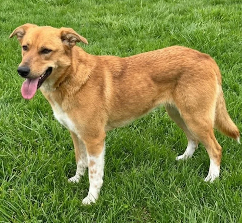 Sunny Boo thumbnail 2